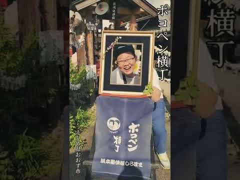 ポコペン横丁 昭和30年頃の商店街を再現したレトロな観光名所 愛媛県大洲市